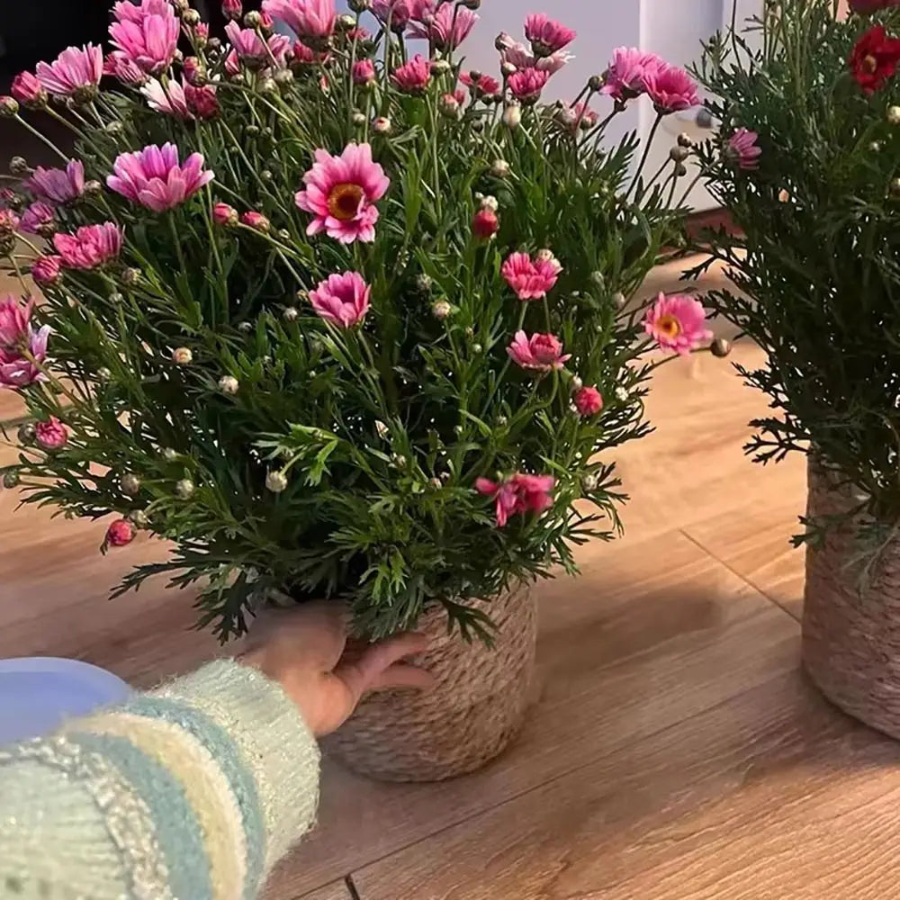 Pot Panier en Paille