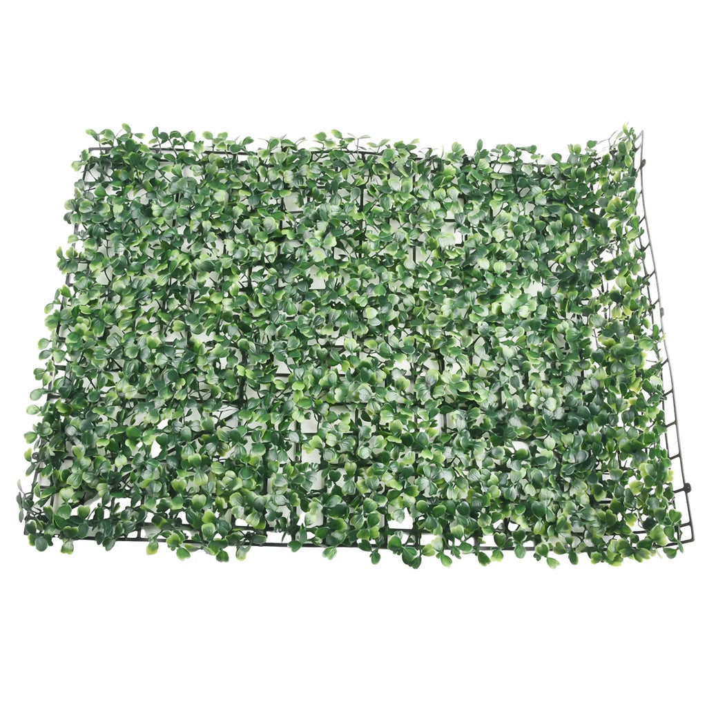 Plante Mur Végétal