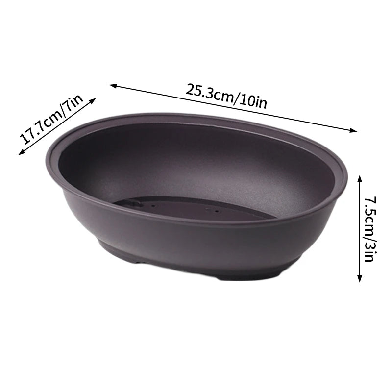 Pot Bonsaï Décoration Intérieure