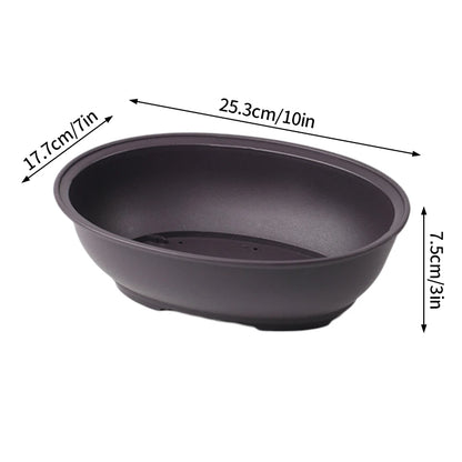 Pot Bonsaï Décoration Intérieure