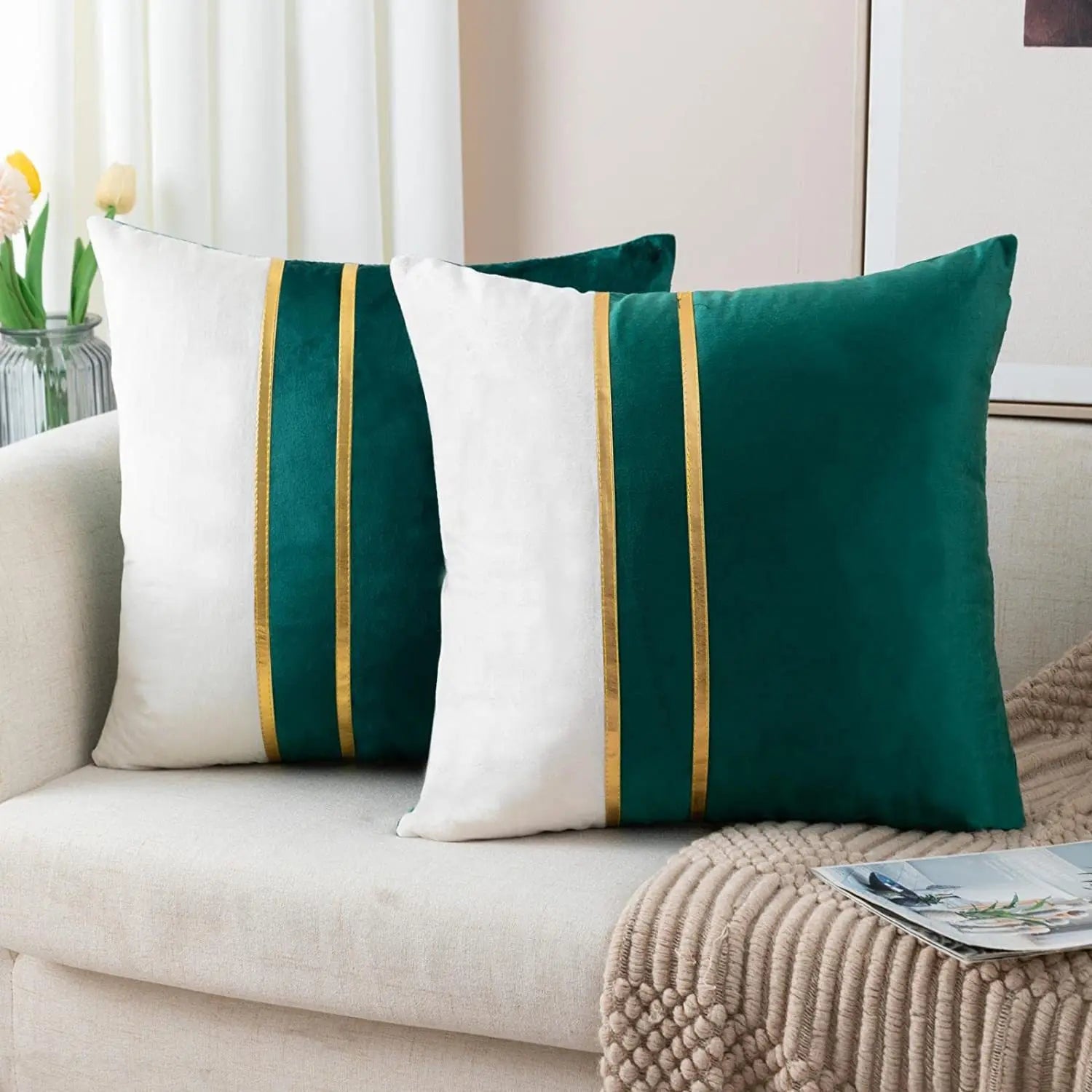 Housse de Coussin Décorative velours