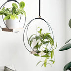 Macramé suspendue en bois naturel - Jardinière