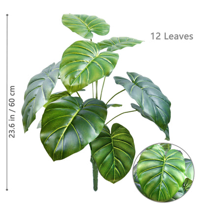 Plante Monstera  52-104cm