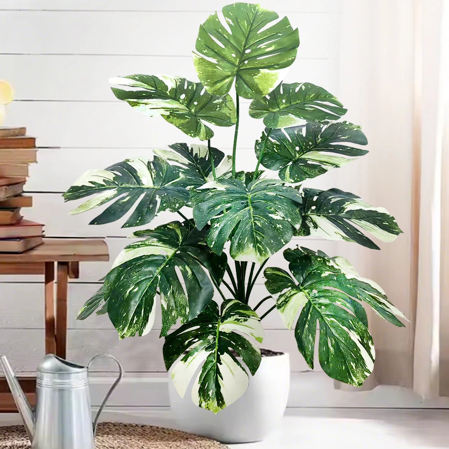 Plante Monstera  52-104cm