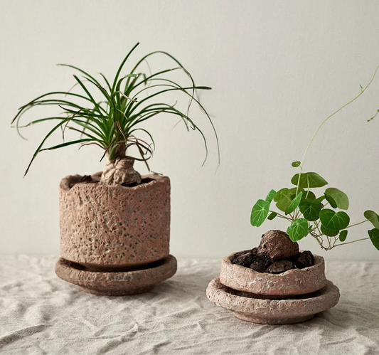 Pot en Poterie Brute