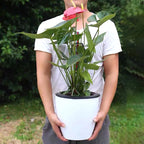 Pot de Fleurs Rod