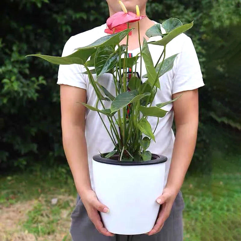 Pot de Fleurs Hydroponique