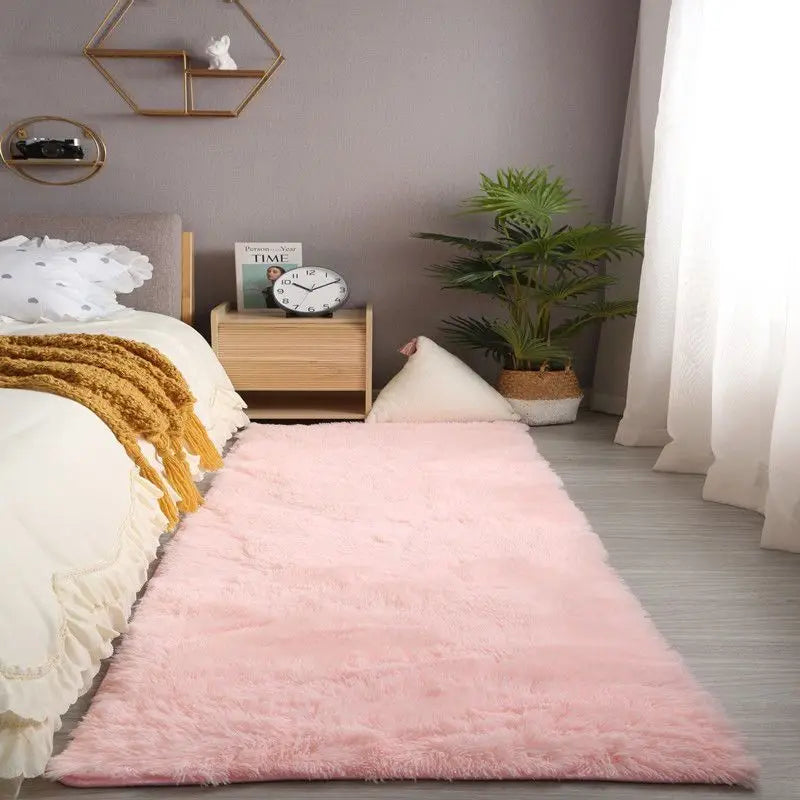 Tapis de Chambre