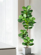 Plante Artificielle Ficus
