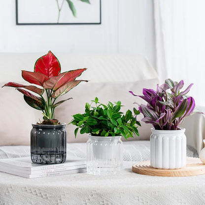 Pot de Fleurs Auto Arrosant