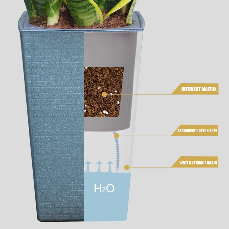 Pot