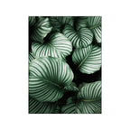 Tableau Moderne Art Nature