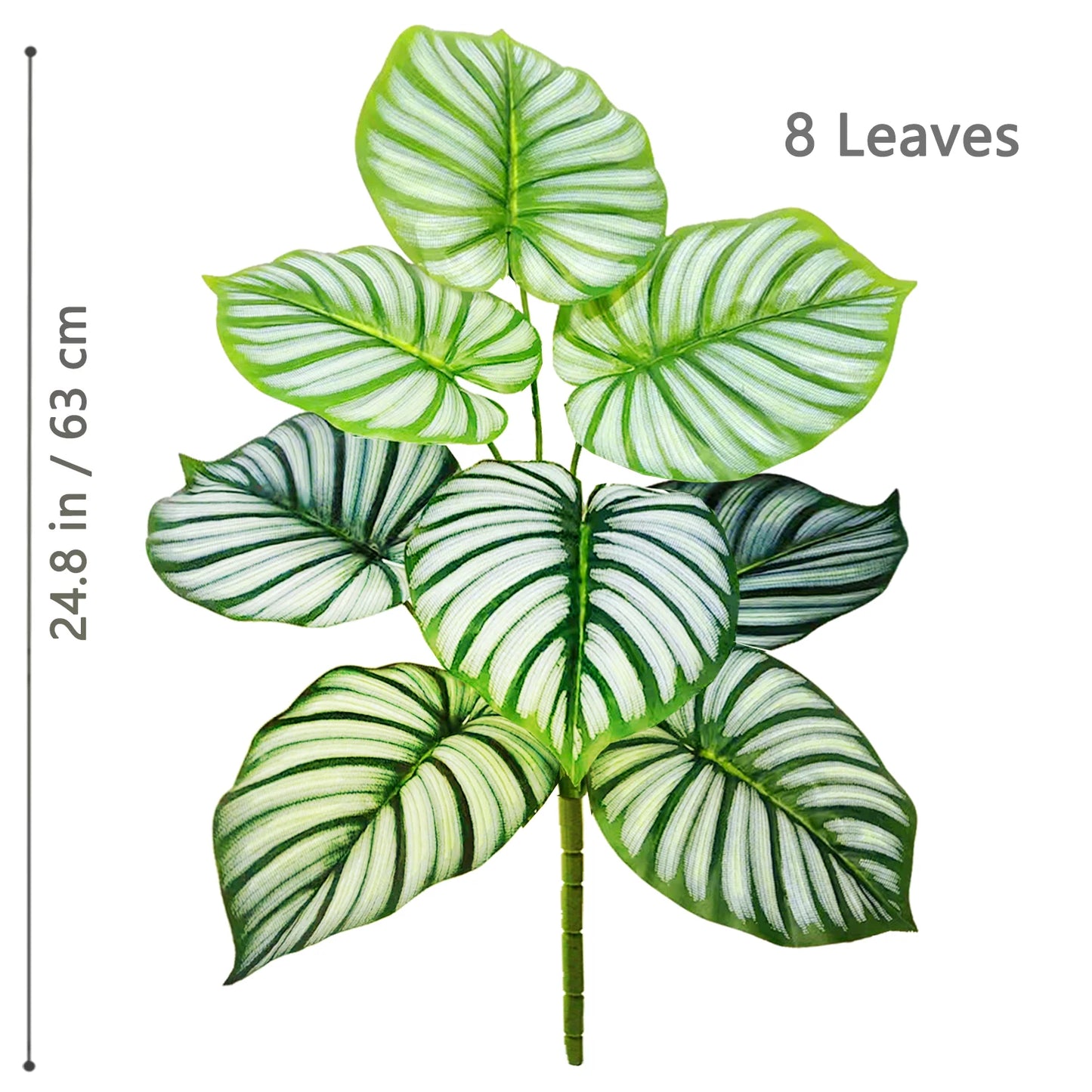 Plante Monstera  52-104cm
