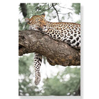 Tableau Moderne Art Nature