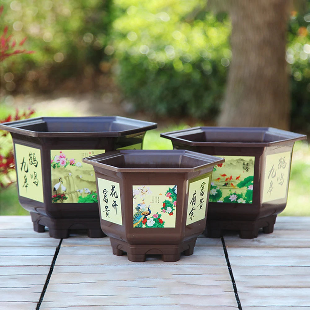 Pot de Fleur Hexagonal