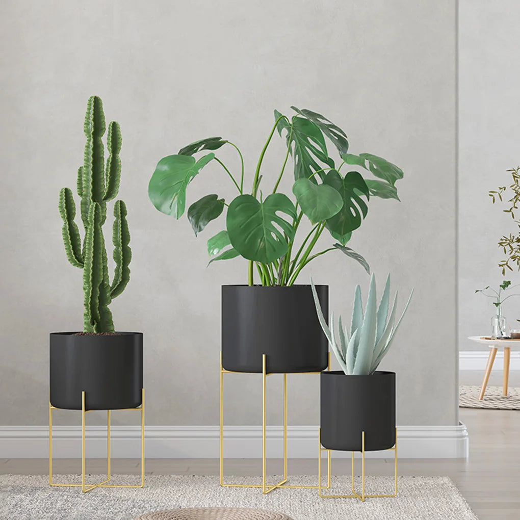Pot Jardinière