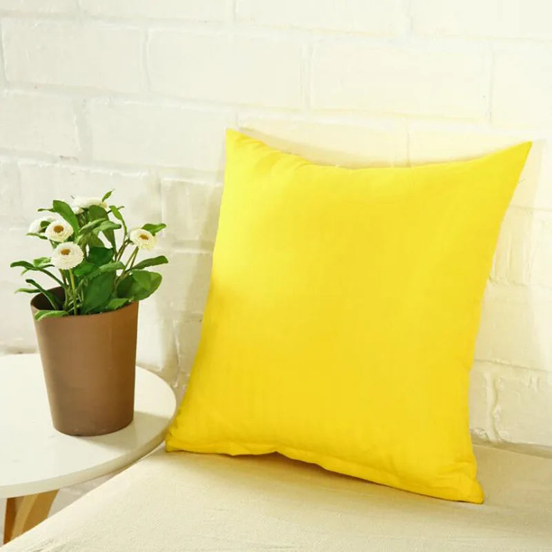 Housse de Coussin en Peluche