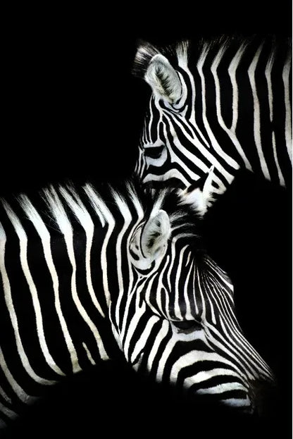 Tableau Moderne Art Animal