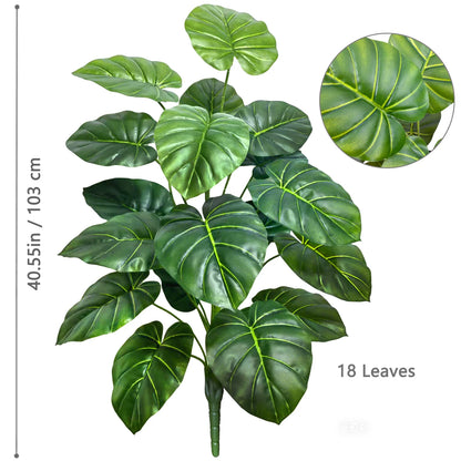 Plante Monstera  52-104cm