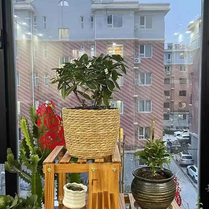 Pot Panier en Paille