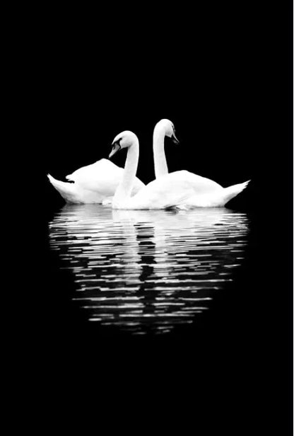 Tableau Moderne Art Animal