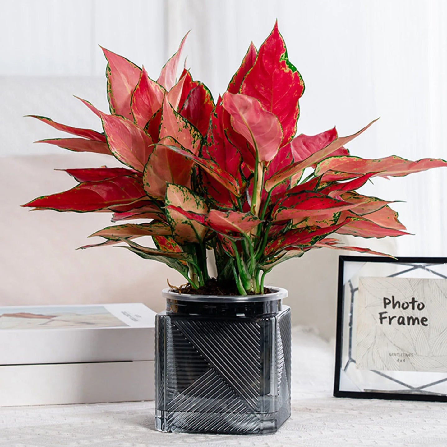 Pot hydroponique carré