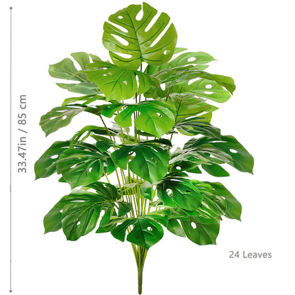 Plante Monstera  52-104cm