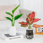 Pot de Fleurs en Plastique