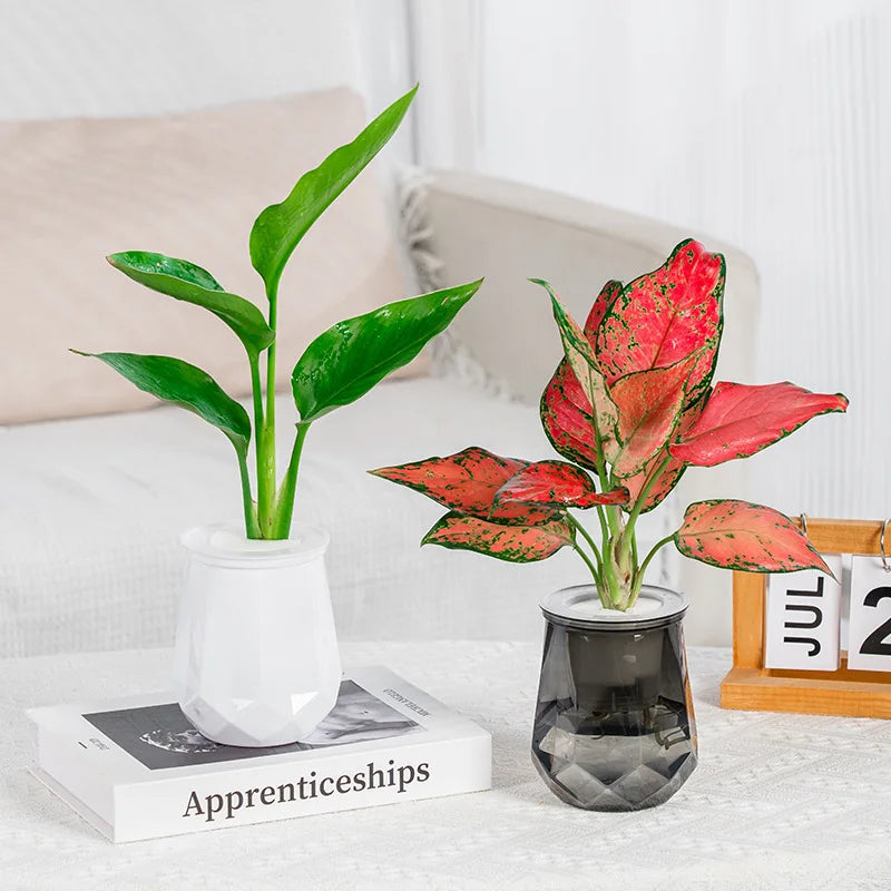Pot de Fleurs en Plastique