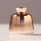 Vase en Verre Doré Transparent