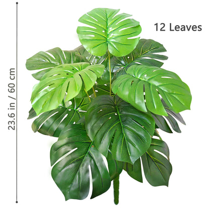Plante Monstera  52-104cm