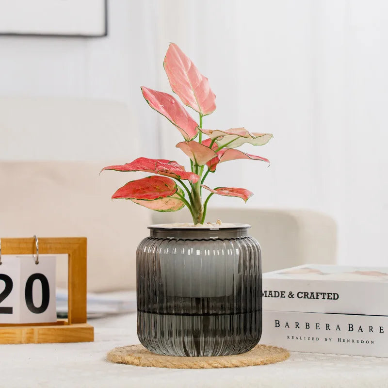 Pot de Fleurs en Plastique