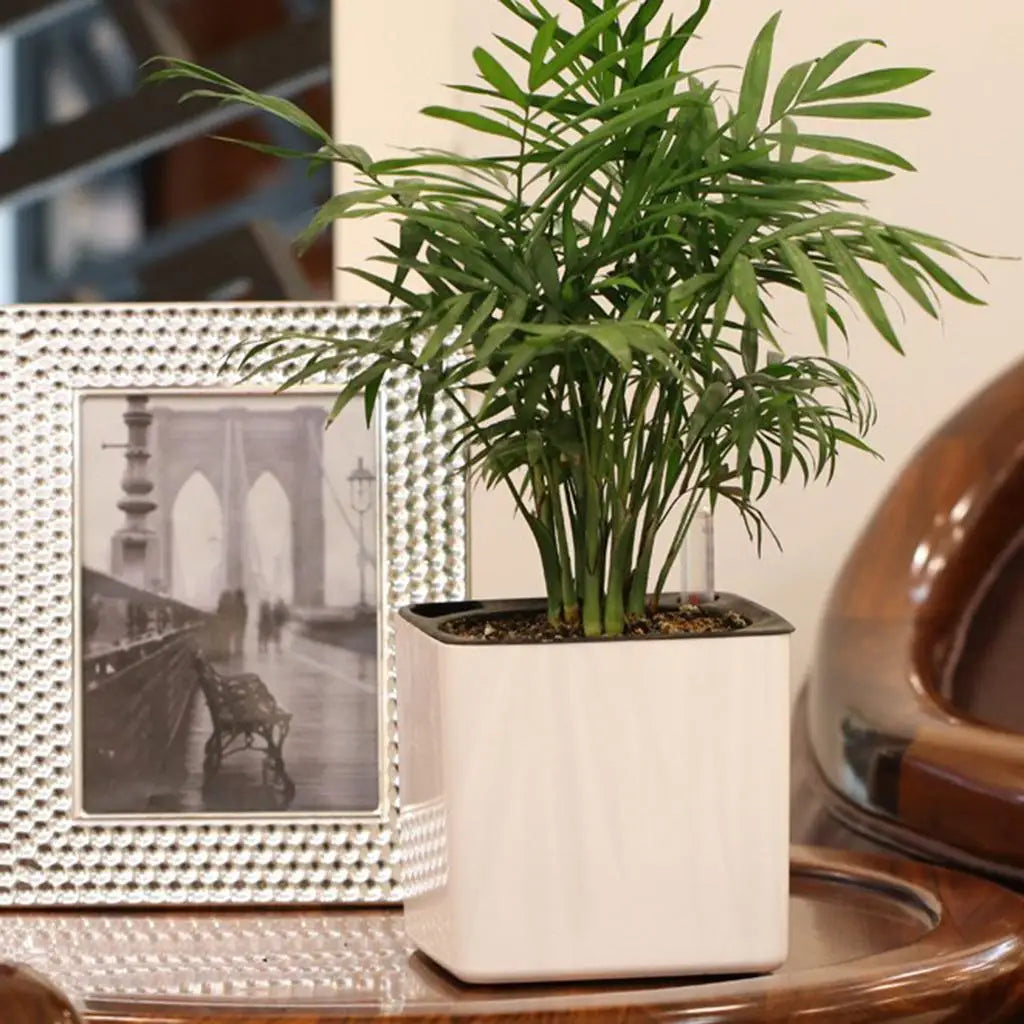 Pot Jardinière