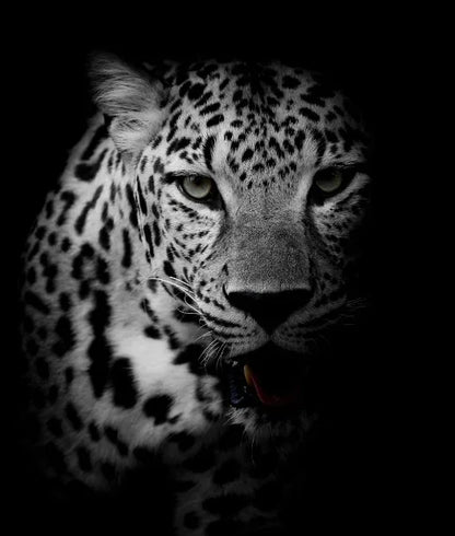 Tableau Moderne Art Animal