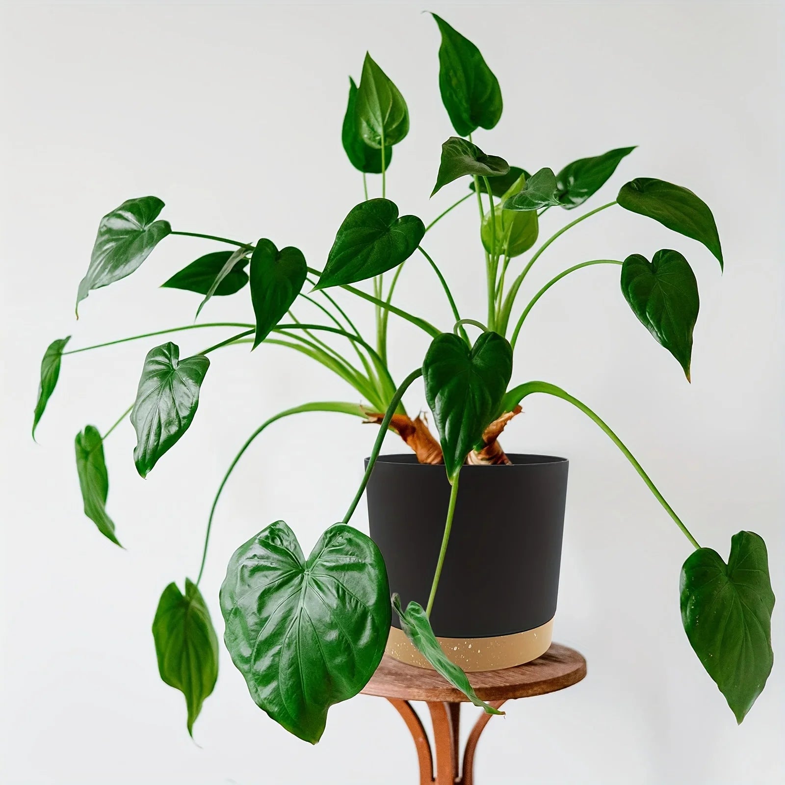 Pot de Fleur Rond