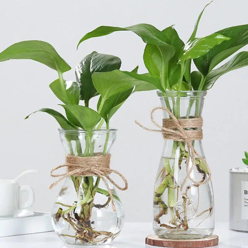 Vase en Verre épais