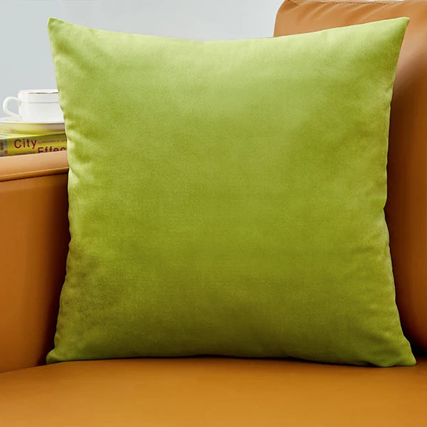 Housse de coussin en velours