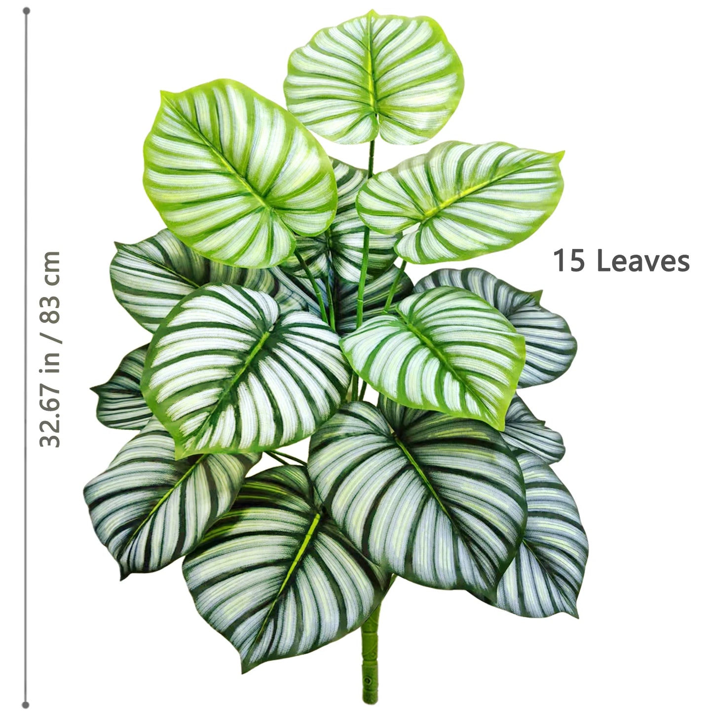 Plante Monstera  52-104cm