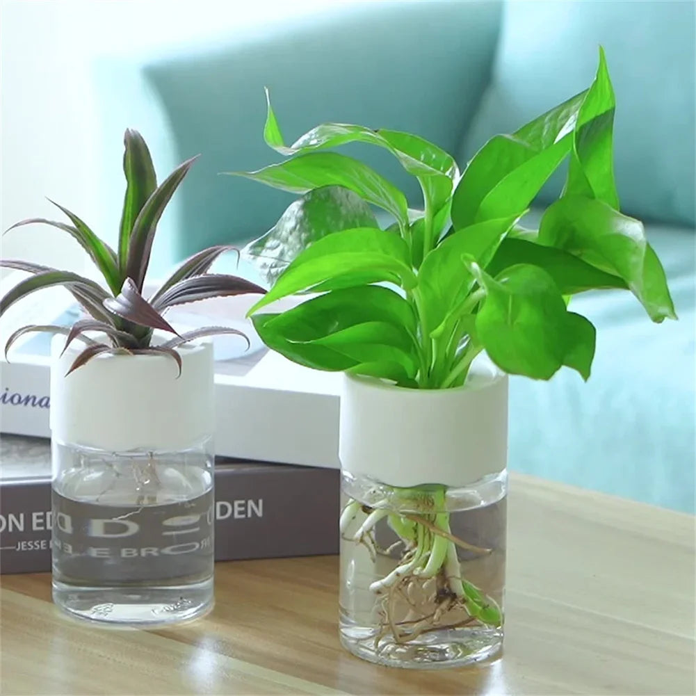 Pot Hydroponique