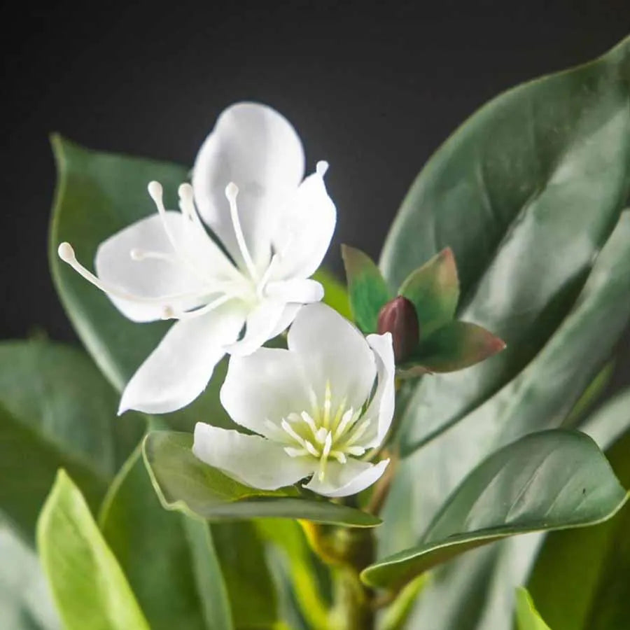 Plante  Artificielle Ficus