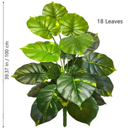 Plante Monstera  52-104cm