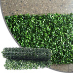 Plante Mur Végétal