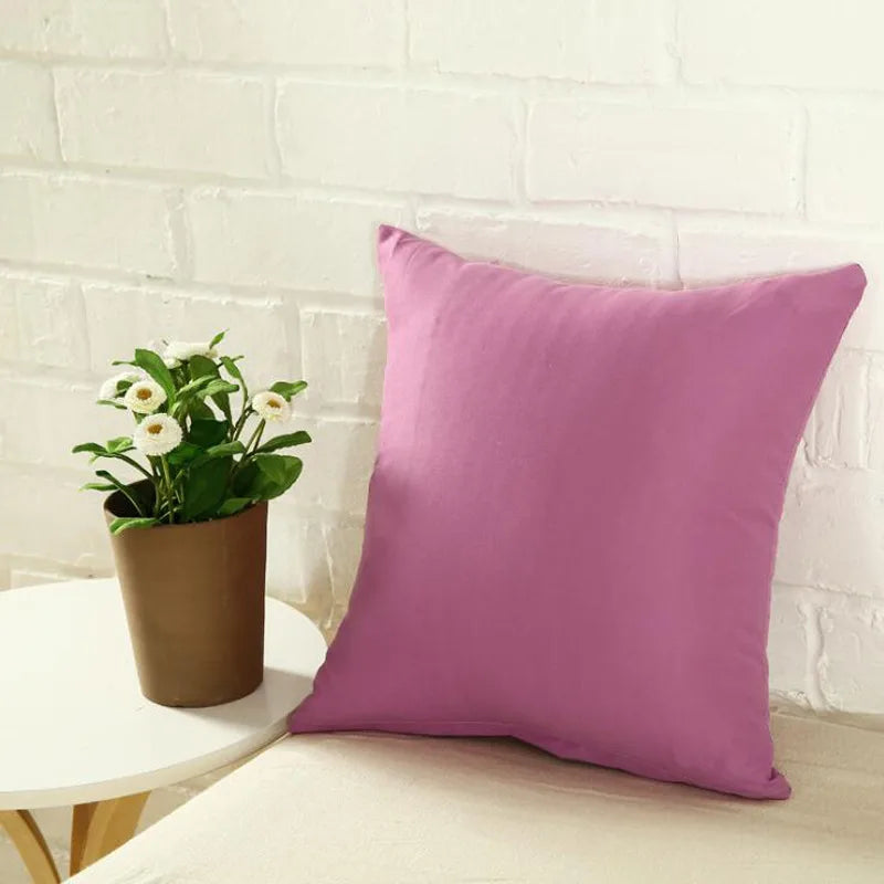 Housse de Coussin en Peluche et Fourrure de velours