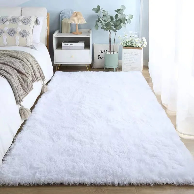Tapis de Chambre