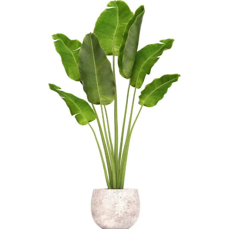 Autocollant Mural Plante