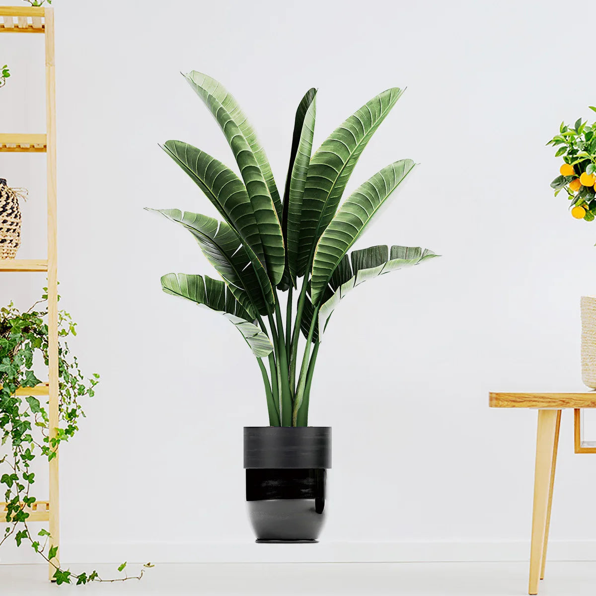 Autocollant Mural Plante