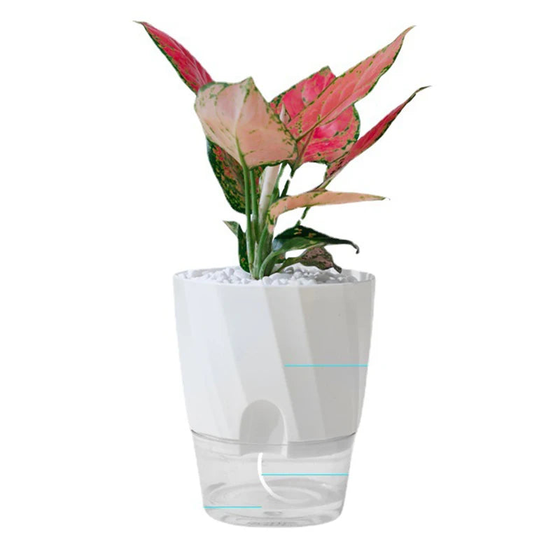 Pot de Fleur Hydroponique