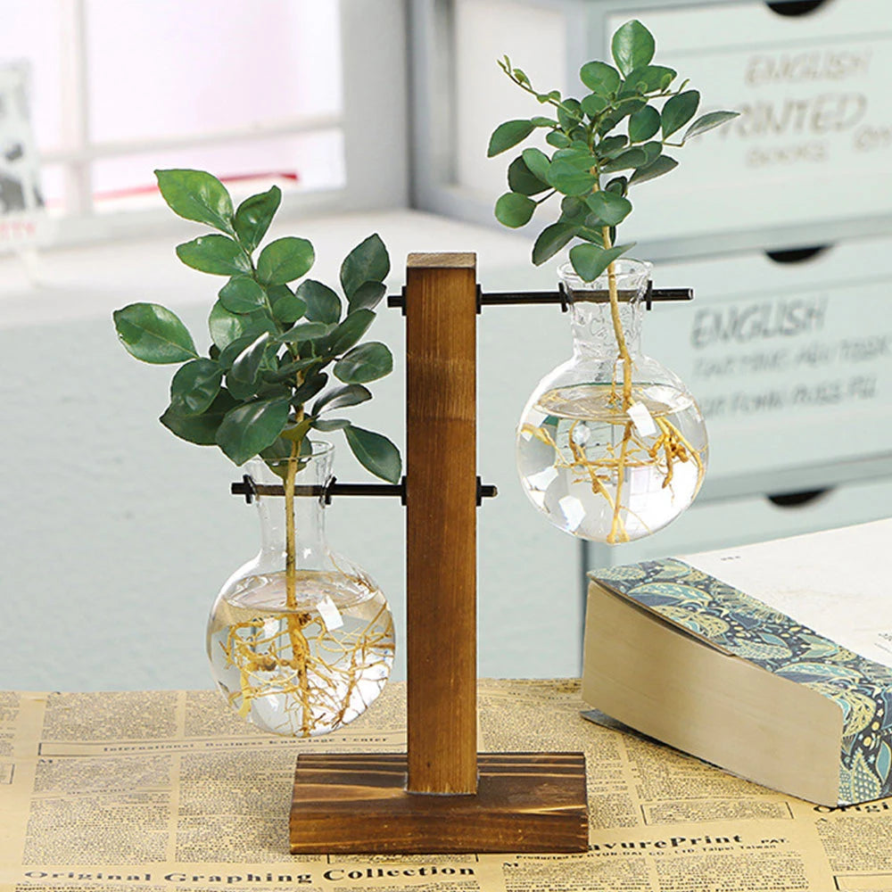 Vase ampoule en verre transparent avec support en bois naturel, jardinière hydroponique déco pour la maison ou le bureau - Décoration intérieure