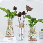 Vase cylindrique en verre épais avec brides circulaires - Décoration intérieure