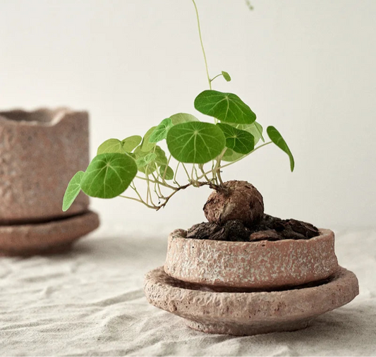 Vase en poterie brute, forme irrégulière - Décoration intérieure